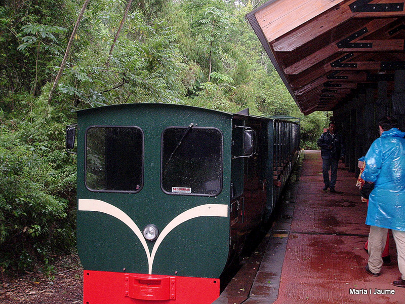 Tren Ecològic de la Selva